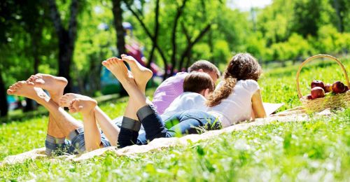 Ferro alto nel sangue: quando preoccuparsi?